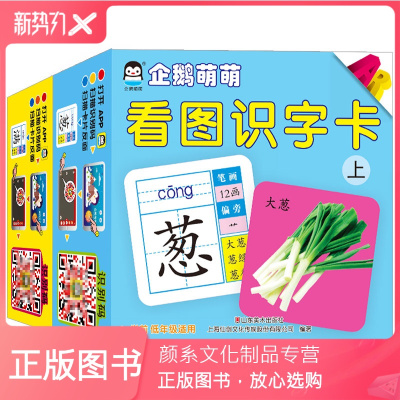 颜系图书-企鹅萌萌看图识字卡片上下册2盒加厚版撕不烂可水洗0-3-6岁宝宝益智早教婴幼儿识字翻翻玩具书启蒙认知学前班