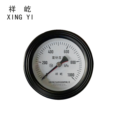 祥屹 双针双管压力表24v轴向 YYS100Z 台