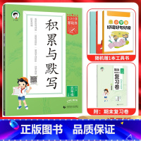 语文 五年级上 [正版]2024秋5.3小学基础练积累与默写五年级语文上册 人教通用版 53五三小学5年级上同步专项训练