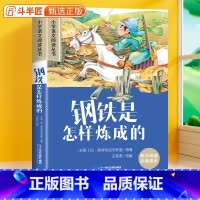 钢铁是怎样炼成的[彩图注音版] [正版]钢铁是怎样炼成的彩图注音版小学语文课外阅读书籍原著小学生一年级二三年级加厚版带拼