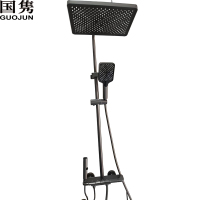 国隽 花洒组合 GJSMD280 套