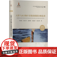 天然气水合物开采数值模拟分析技术 李淑霞 等 著 中国石油大学出版社 能源科学 石油 天然气工业