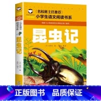 昆虫记 小学通用 [正版]5本20元小学生一段话作文好词好句好段小学生作文起步1-2年级儿童作文书入门注音版小学一二年级