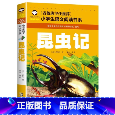 昆虫记 小学通用 [正版]5本20元小学生一段话作文好词好句好段小学生作文起步1-2年级儿童作文书入门注音版小学一二年级