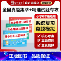❤️划算「90%学生选择」语数英[全国版]套装 3本 小学升初中 [正版]2025新版三级特训 语文数学英语 六年级毕业