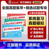 ❤️划算「90%学生选择」语数英[全国版]套装 3本 小学升初中 [正版]2025新版三级特训 语文数学英语 六年级毕业