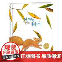 风中的树叶 精装硬壳绘本 3-4-5-6-8岁 幼儿绘本幼儿园老师故事书儿童书籍 6岁孩子阅读的书 0到3岁宝宝睡前故事