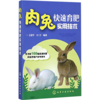 音像肉兔快速育肥实用技术王建平,刘宁 编著