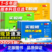 数学·苏教版 一年级上 [正版]2023新实验班提优大考卷小学一二三四五六年级上下册语文数学英语人教版苏教北师大版单元同