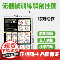 无器械训练解剖挂图 预计发货07.28
