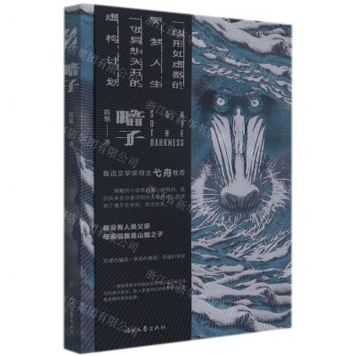 [N]暗子-9787538769319