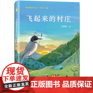 飞起来的村庄