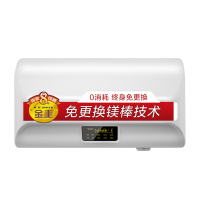 AO史密斯60升电热水器 专利免更换镁棒 金圭内胆 全隐藏安装 大屏触控 双驱速热节能 E60EDX 遥控预约