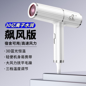 小鸭牌电吹风学生宿舍蓝光离子护发吹风机小功率护肤速干 3013龙吟白宿舍800W暴风级速干版+30亿蓝光深层护发