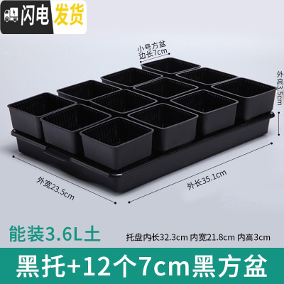 三维工匠美莳控根多肉花盆塑料套装组合创意透气肉肉控型盆器带托盘小花盆 黑托+12个黑盆(7cm盆) 小花盆容器