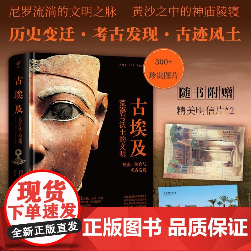 失落的文明 古埃及 阿尔贝托·西廖蒂 著 历史