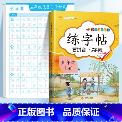 ❤️[五年级]优美句子字帖+五上同步字帖 [正版]优美句子积累字帖大全小学生练字帖每日一练好词好句好段正楷三四年级上册6