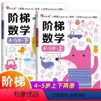 阶梯数学4-5岁(全2册) [正版]小红花 阶梯数学4-5岁上下2册 幼儿园宝宝左右脑智力开发逻辑思维训练大班数学启蒙认