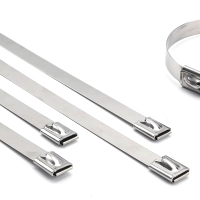 百名迖 国标不锈钢扎带 7.9mmX1800mm(100根) 包