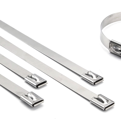 百名迖 国标不锈钢扎带 7.9mmX1800mm(100根) 包