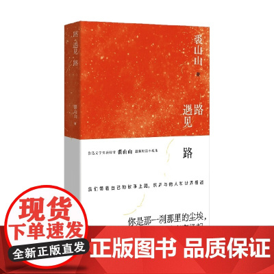 路遇见路 裘山山 著 小说