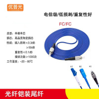 优普光铠装尾纤FC-FC(1米)