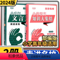 小学语文知识大集结+小升初文言文 [正版]2024小学语文知识大集结小学语文走进名校重点知识大全小升初文言文阅读训练人教