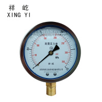 祥屹 耐震压力表 YTN100 0-2.5Mpa 块