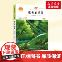 祖先的摇篮 二年级下册人教版教材同步阅读语文课本作家作品系列老师正版经典书目寒暑假儿童文学作品读物小学生故事书