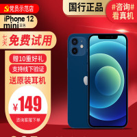 [99新]Apple/苹果 iPhone 12mini 256G蓝色 二手手机 二手苹果 12mini iPhone12