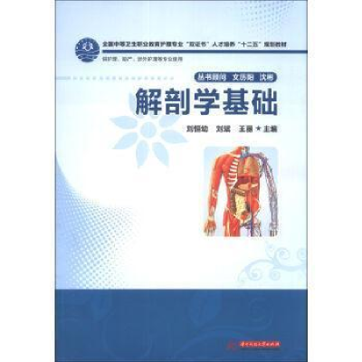 正版新书]解剖学基础刘恒幼9787560988993