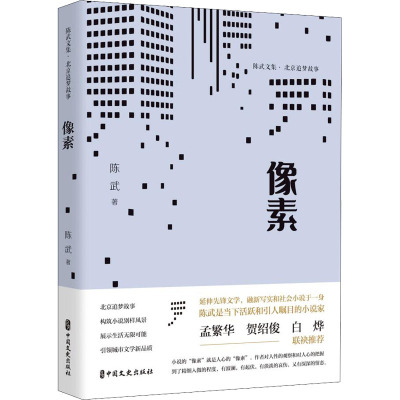 像素(陈武文集·北京追梦故事)