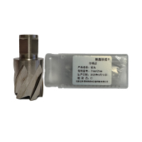 隆鑫铁强 钻头 31mmx25mm 个