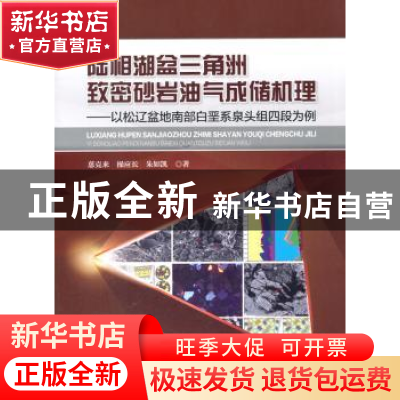 正版 陆相湖盆三角洲致密砂岩油气成储机理:以松辽盆地南部白垩