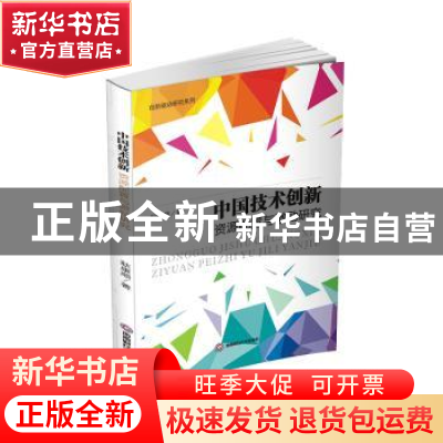 正版 中国技术创新资源配置与激励研究 耿康顺 西南财经大学出版