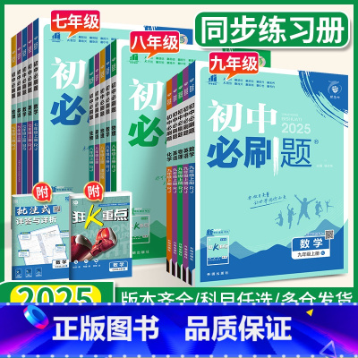 不偏科❤对应年级全套-人教版(英语无单选) 八年级上 [正版]2025初中七上八九年级上 下册全套语文数学英语物理化学政