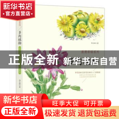 正版 浪漫彩铅系列:拿笔就画 色铅笔绘画从入门到精通:多肉植物