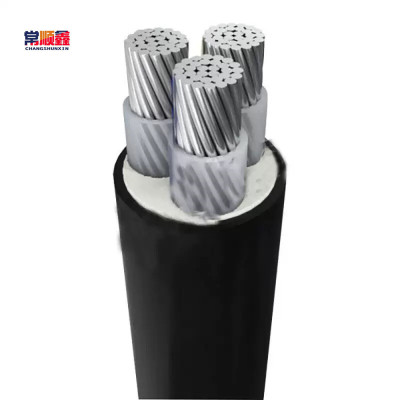 常顺鑫 低压铝芯电缆ZC-YJLV3×70 米