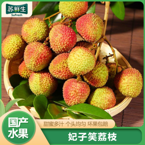 [苏鲜生]新鲜妃子笑荔枝 净重2.5斤 单果18g+ 1