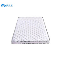 欣安顺 弹簧床垫 1200*2000*200mm 张