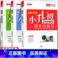 总复习 语数英3本 小学升初中 [正版]2023小升初模拟试卷真题卷语文数学英语全套人教版小学毕业升学系统总复习知识大集