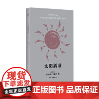 太阳斜照 多纳尔 瑞安作品 多纳尔·瑞安 著 小说