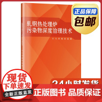 [正版]轧钢热处理炉污染物深度治理技术 王凡 哈尔滨工业大学出版社