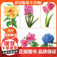 彩铅临摹卡花卉篇2022一线美誉步骤对应美术绘画卡片兴趣高清原创