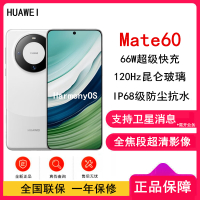 [原封]华为Mate60 12GB+1TB 白沙银 66W快充 全焦段超清影像 鸿蒙OS 120Hz昆仑玻璃屏 支持卫星消息 全网通手机