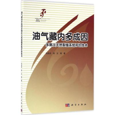 油气藏内多成因多期次天然裂缝系统评价技术