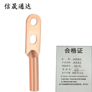 信晟通达 铜线鼻子 DTS-70 个