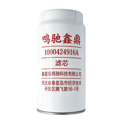 鸣驰鑫鼎 滤芯 1000424916A 个