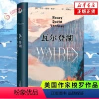 [正版]瓦尔登湖 梭罗 独居瓦尔登湖畔的记录 两年多时间里的所见所闻所思 天津人民出版社 书籍 凤凰书店 外国随笔散