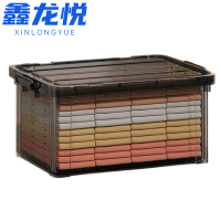 鑫龙悦整理箱53cm个